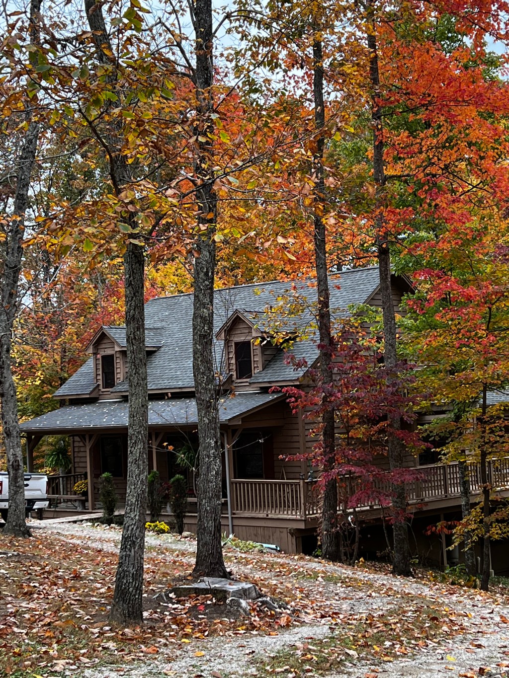 Embracing Retirement:  An Adventure to&nbsp;Kentucky