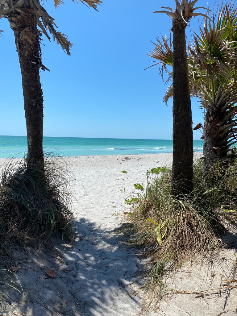 Blind Pass Beach Florida
Palm Trees
Clear Water