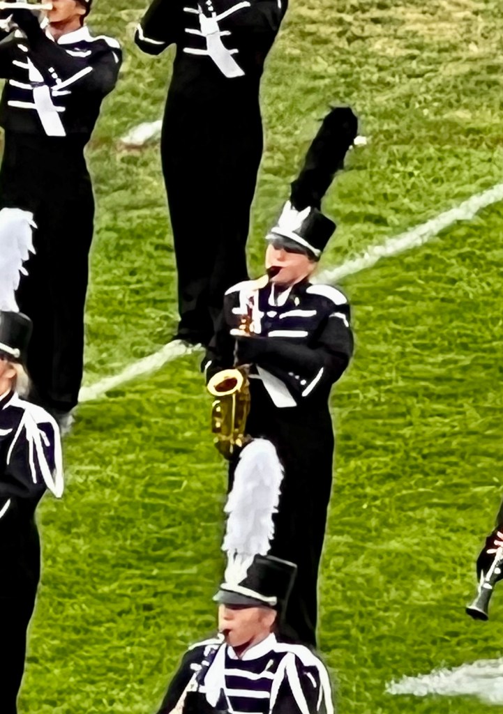 A marching band performing on a grassy field, featuring musicians in black uniforms with white accents, playing various instruments, including a saxophone and trumpet.