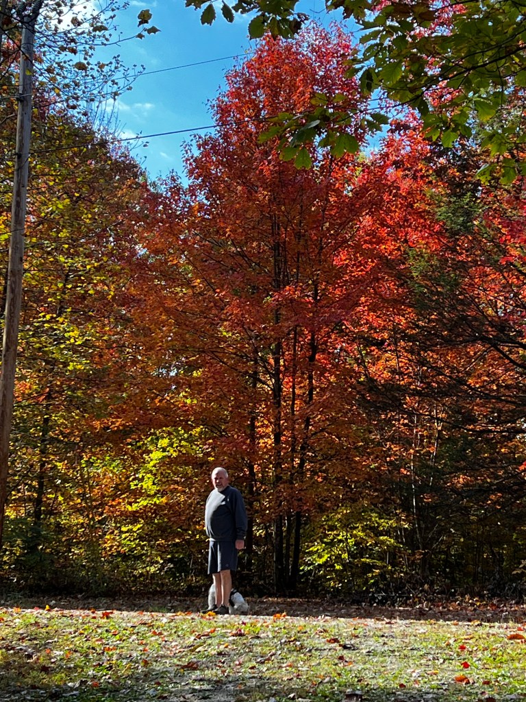 A person stands in a field surrounded by trees displaying vibrant autumn colors, with red, orange, and yellow leaves. The sky is clear, and the individual appears to be with a small dog.